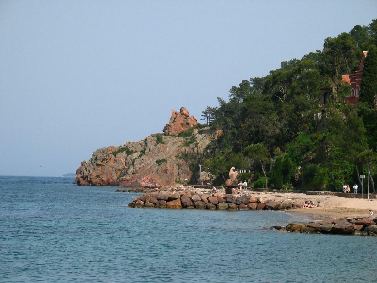 Villa Palm Le Trayas Bagian luar foto